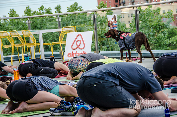 Airbnb Rooftop Yoga Event | Denver Event Photography | Sound Off Colorado