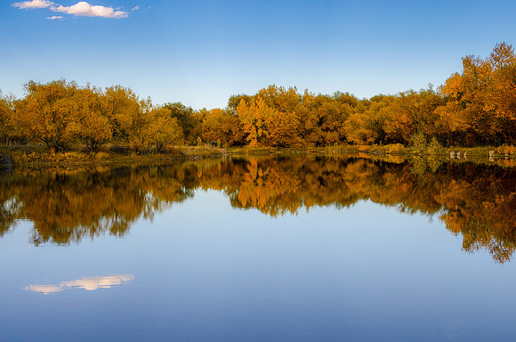 Colorado Mirrors - Lakewood, CO