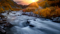 Gold Autumn Palette - Waterton Canyon, CO