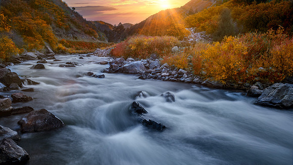 Gold Autumn Palette - Waterton Canyon, CO
