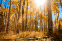 Gold Strike in Colorado - Kenosha Pass